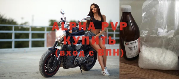 ECSTASY Алзамай