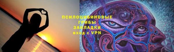 ECSTASY Алзамай