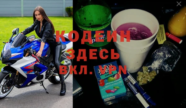 дурь Алексин