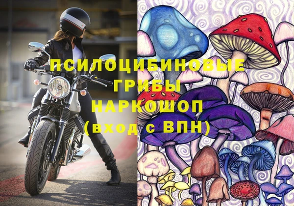 дурь Алексин